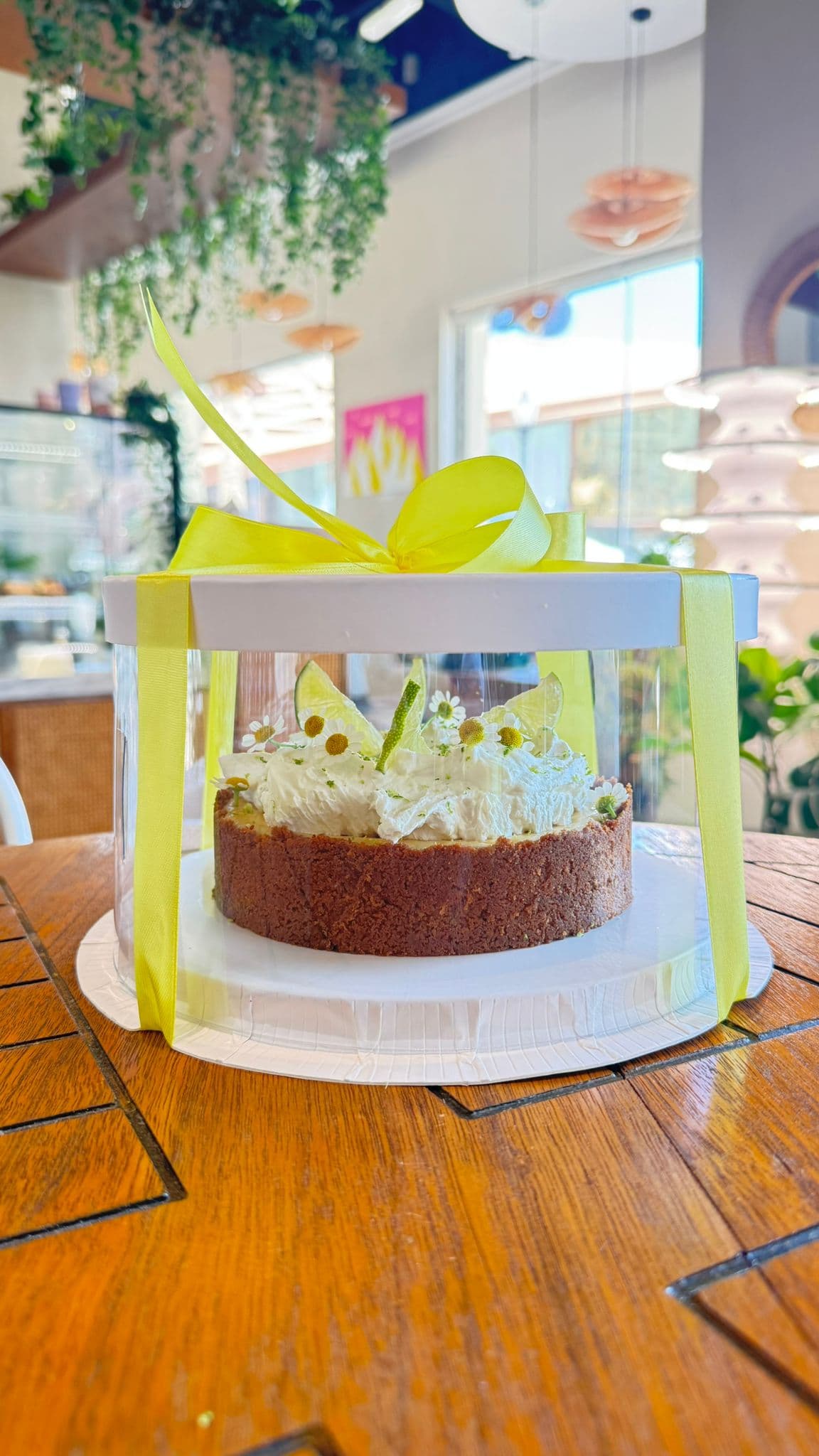 Key Lime Pie (Pre-Order) image