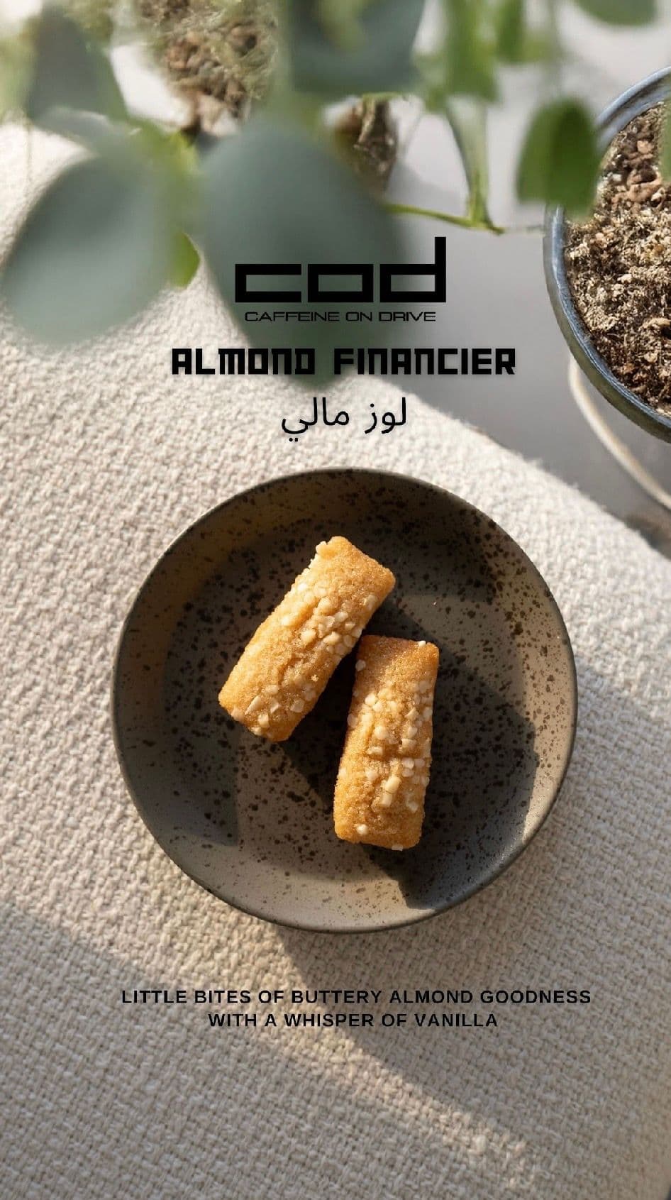 Almond financier image