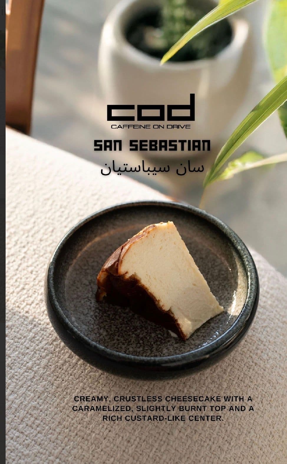 Sansebastian (cheese cake) image