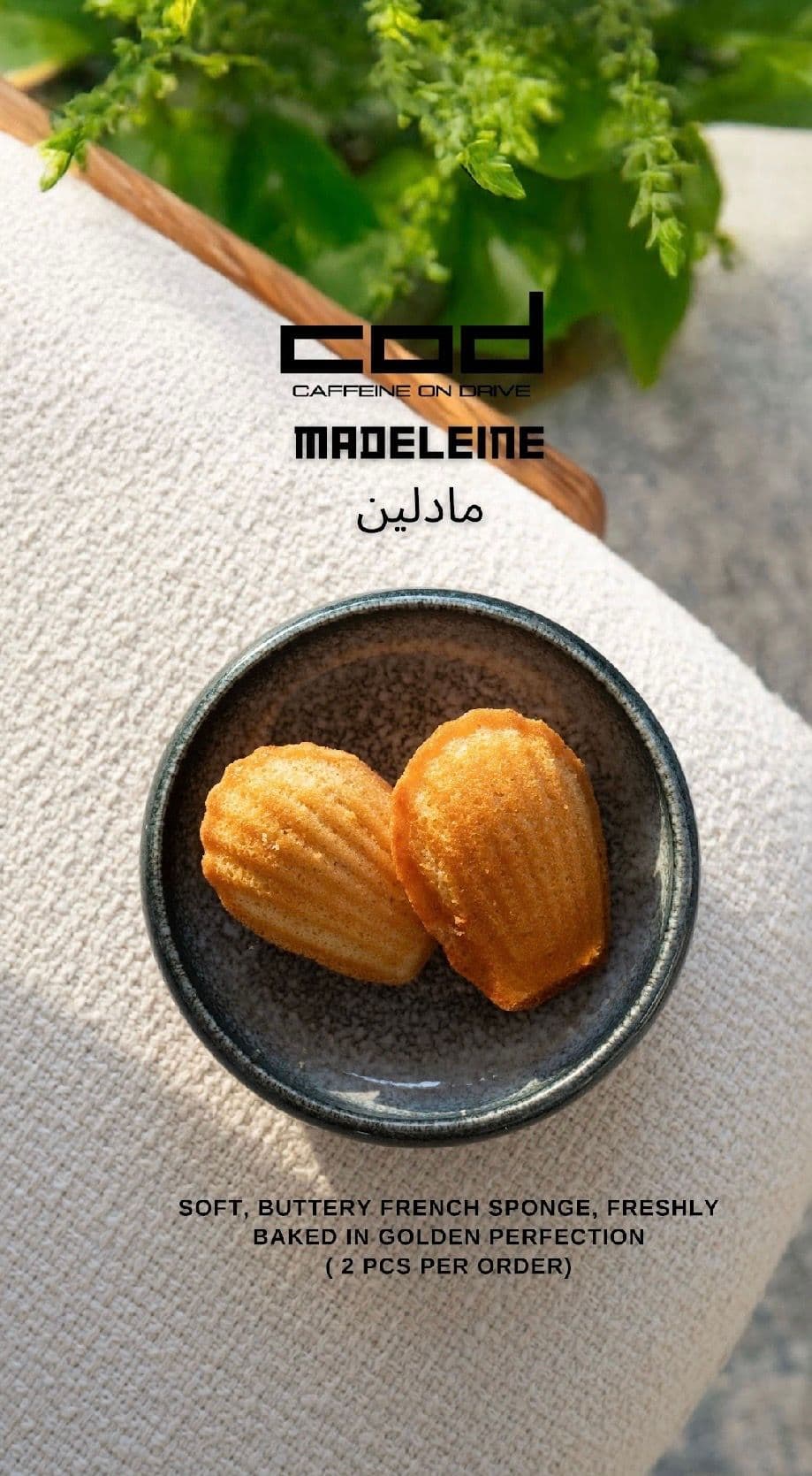 Madeleine image