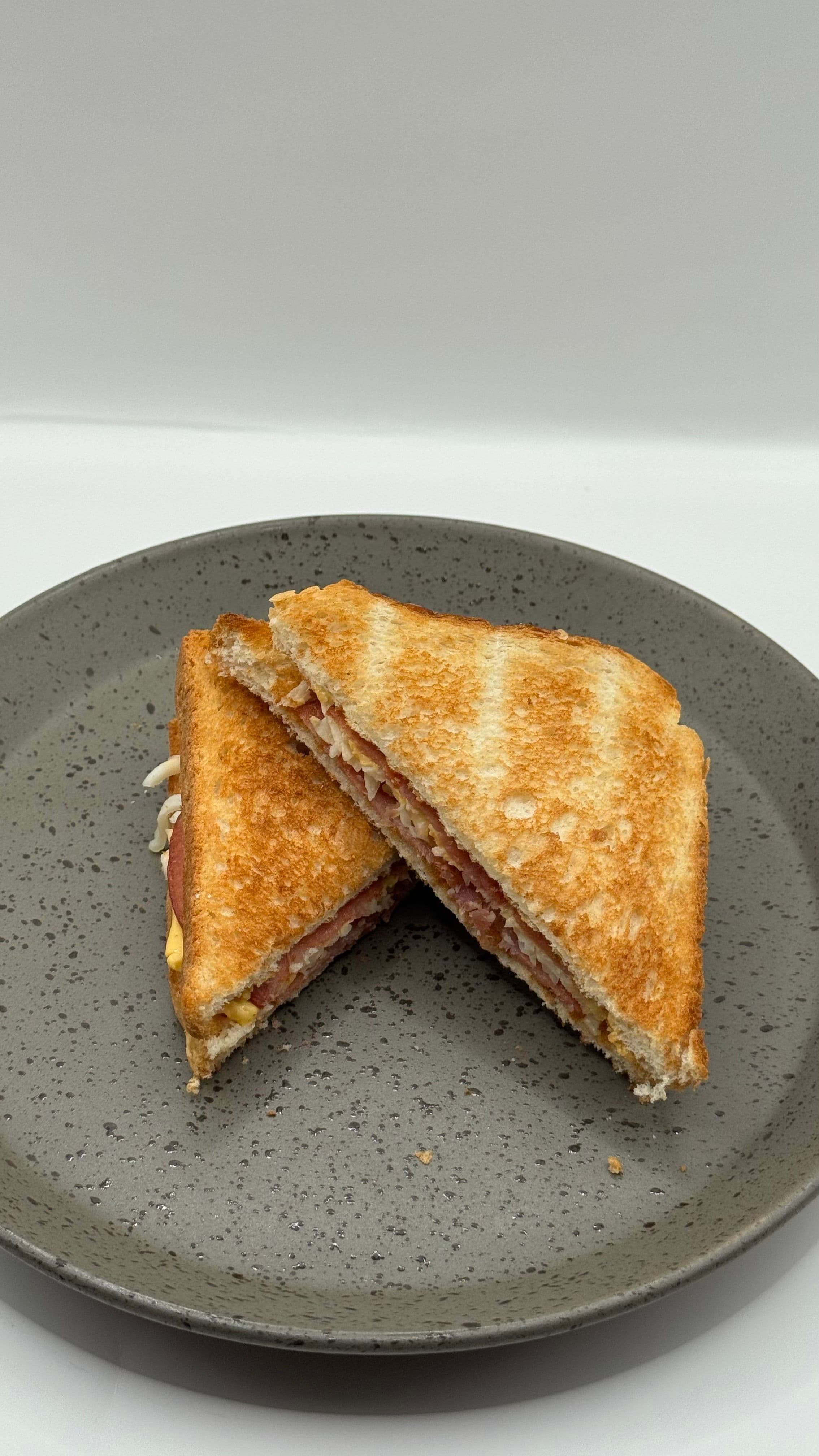 Turkey cheese sandwich image