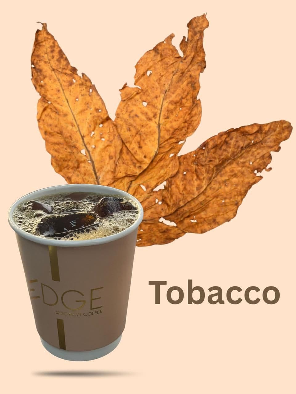 V60 Tobacco image