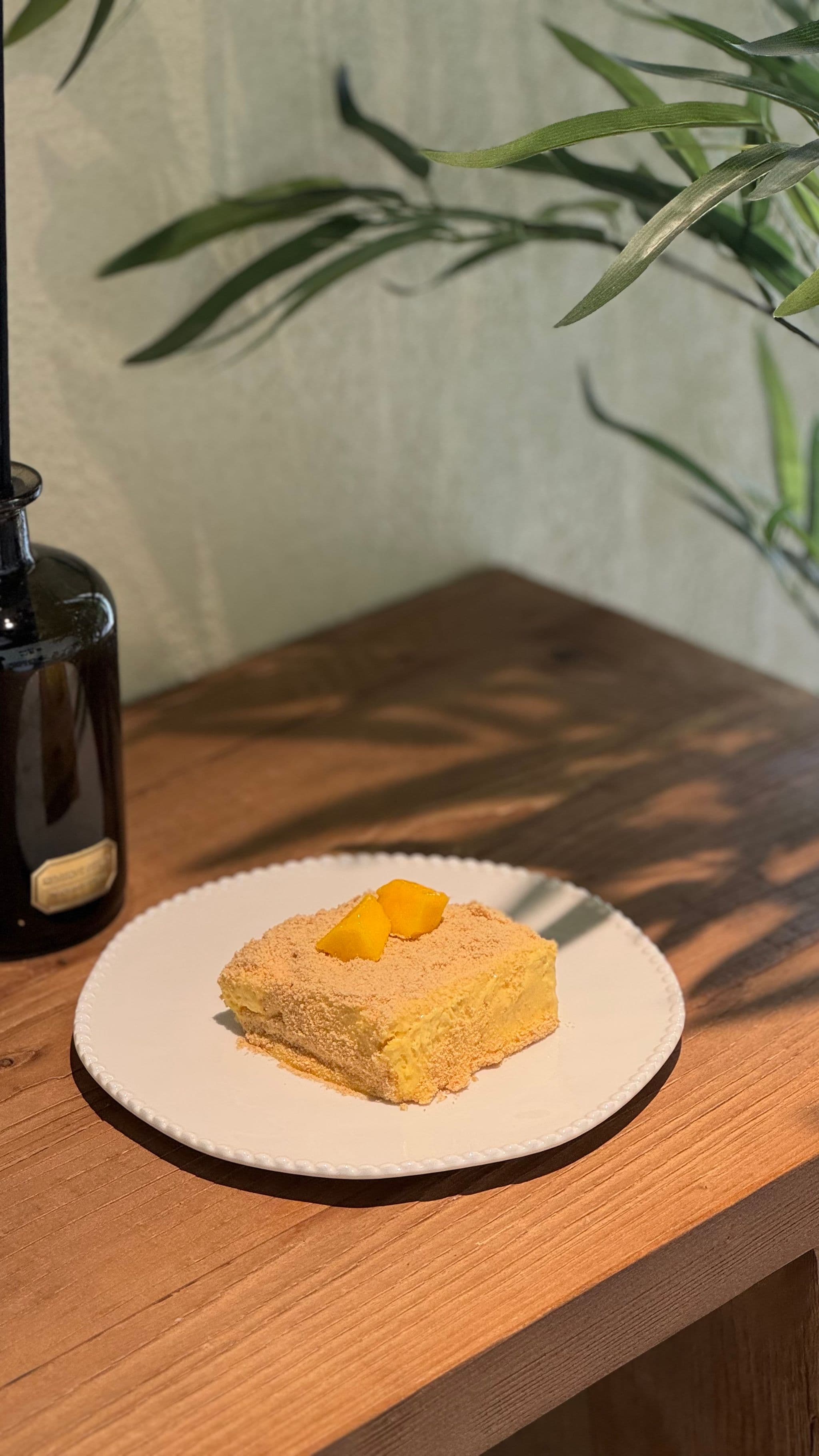 Mango pudding image