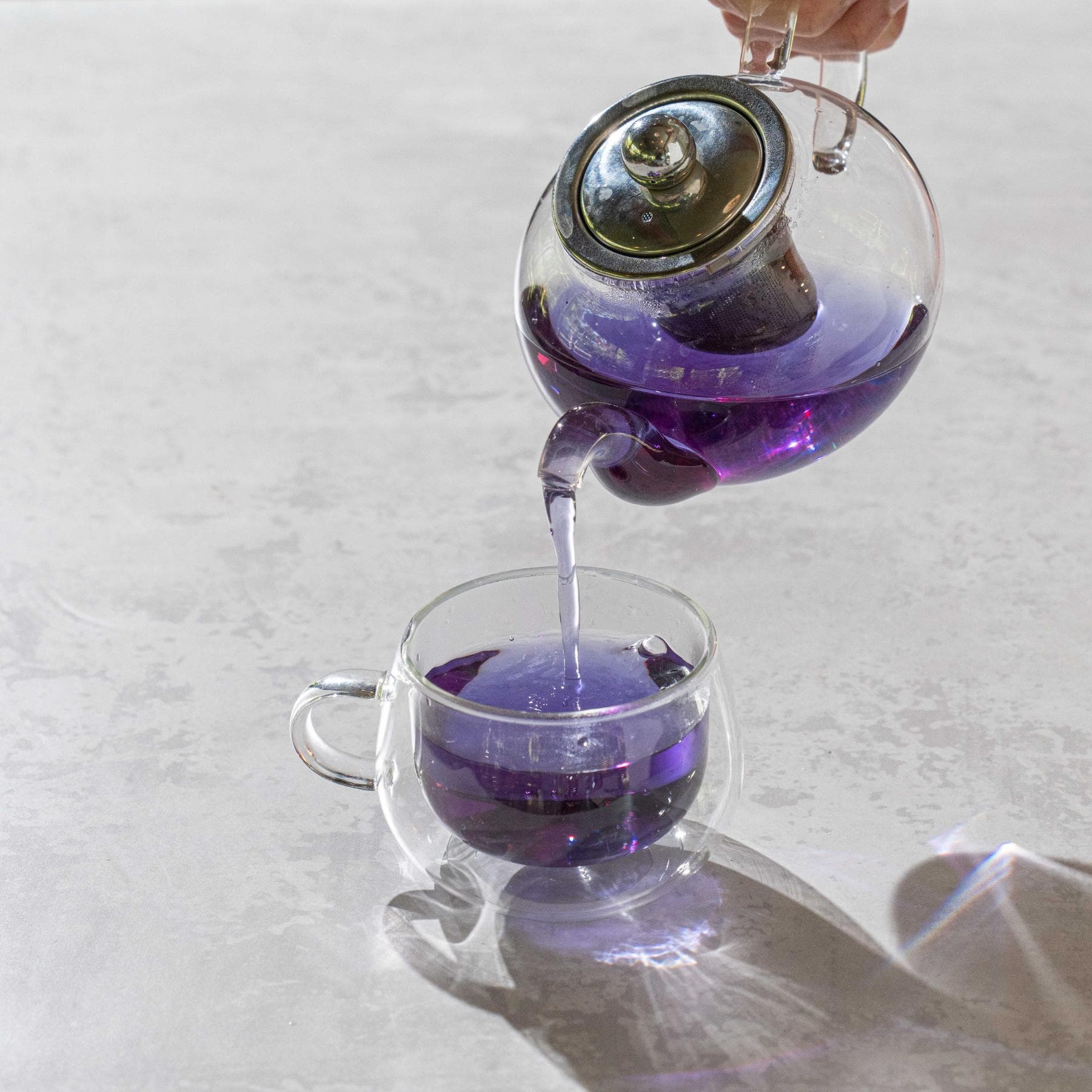 Blue Lemongrass Pea image